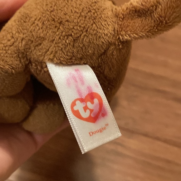 Dougie the dachshund - Picture 2 of 3